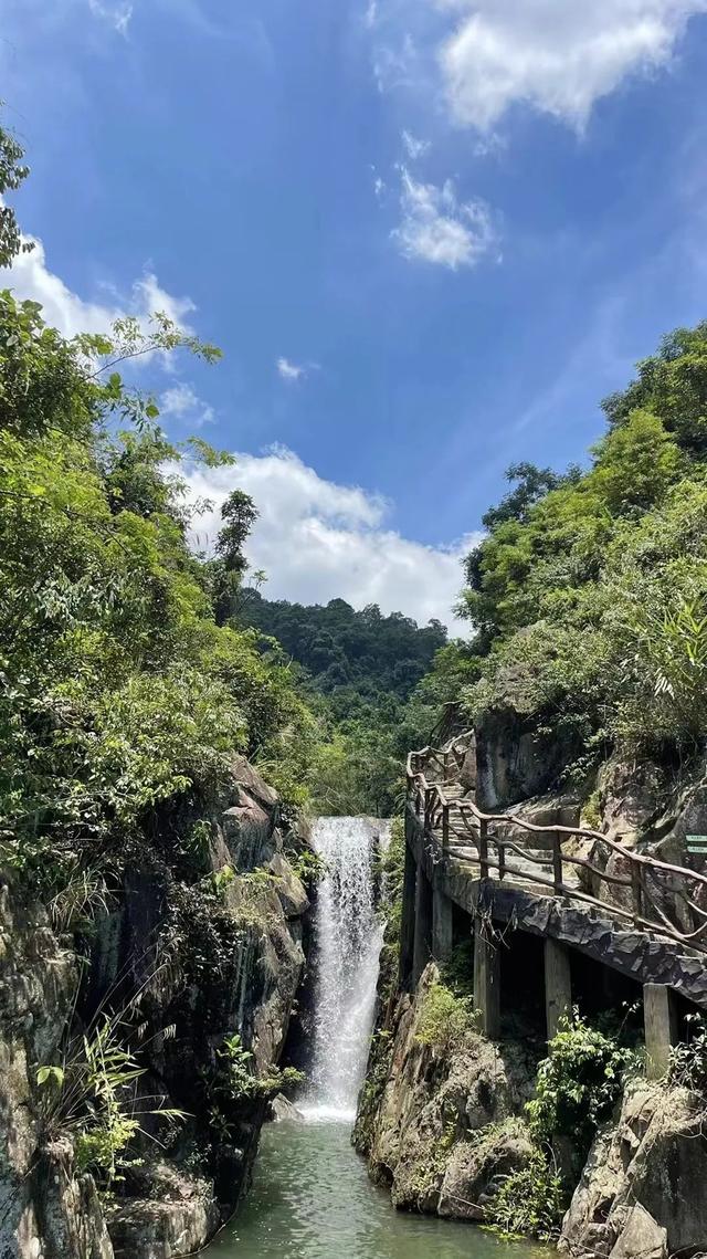 厦门二日游，厦门二日游旅行社（厦门的夏天，就这么玩）