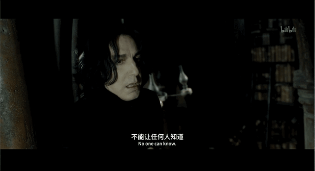 斯内普是好人还是坏人，《哈利波特》中斯内普是好的还是坏的（被嫌弃的斯内普的一生）