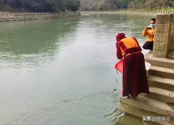 此事无关风与月，无关风与月整句是什么（历谋先生遗作：人生自是有情痴）