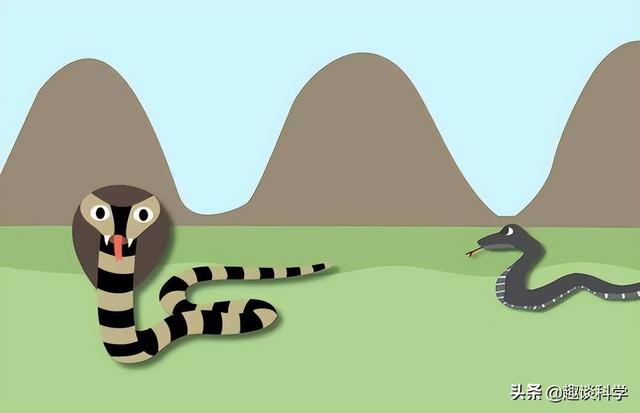 属蛇33岁鬼门关，属蛇2022年婚变（七旬老伯被追咬）