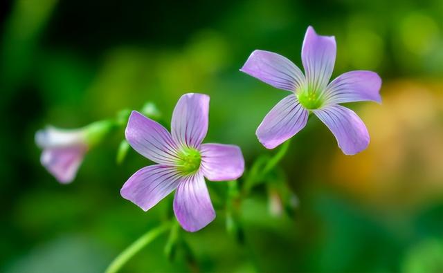 转运前一年会特别倒霉，换大运前一年必有大事（多半要扛过这几件倒霉的事）