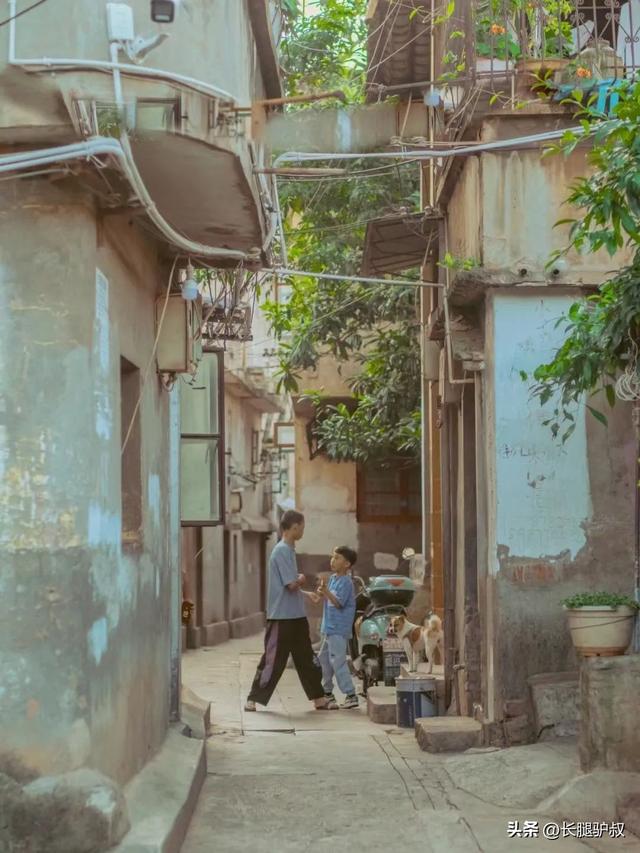 抚仙湖要门票吗，抚仙湖攻略一日游（挖到李健超爱的神仙小城）