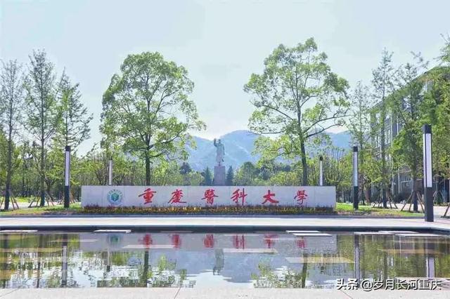 重庆交通大学全国排名，重庆交通大学排名2022最新排名（2022年重庆市属高校预算排名）