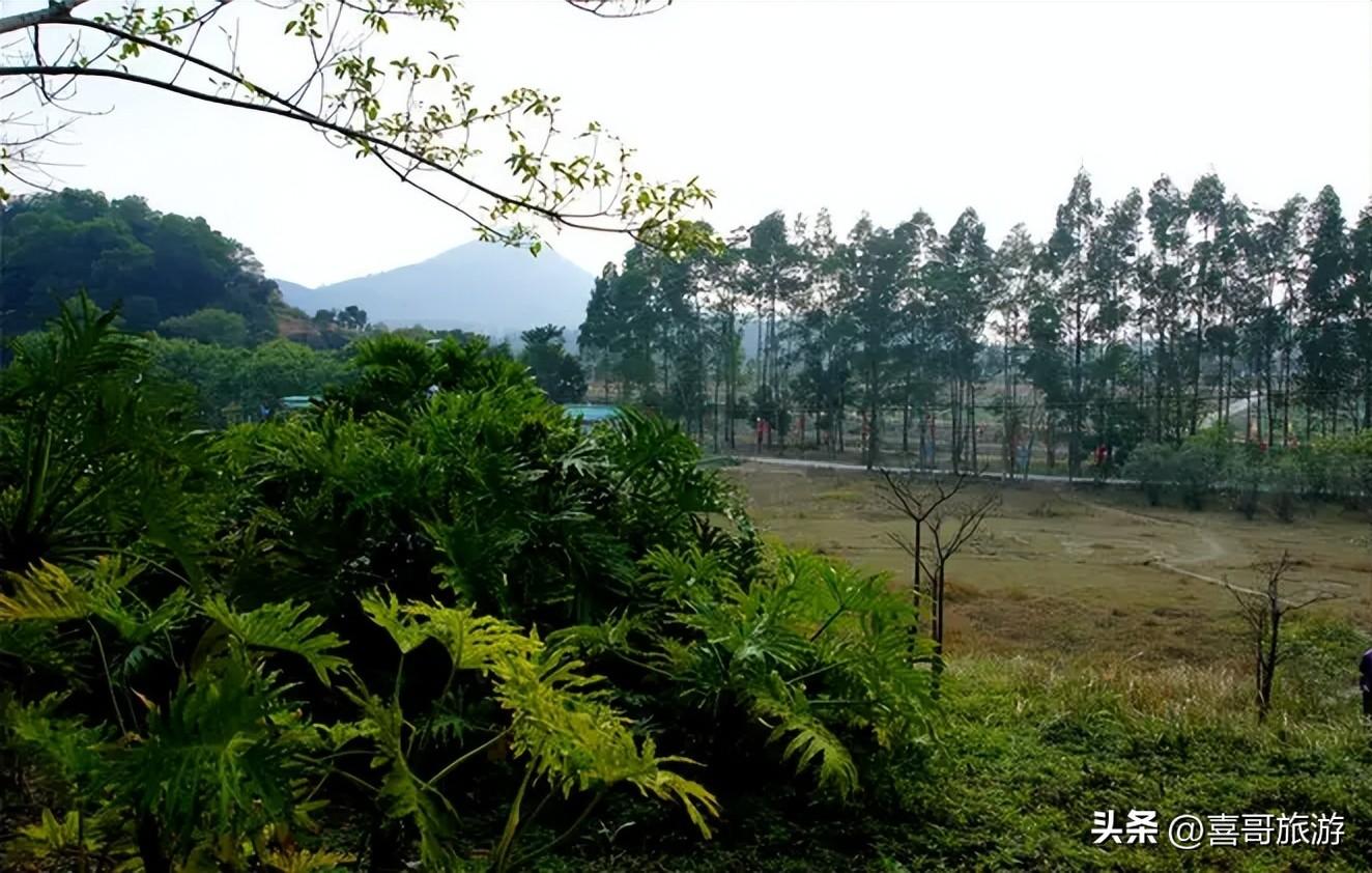 江门市蓬江区(江门市蓬江区地图高清版最新)
