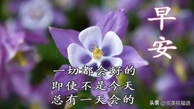 祝福话，祝福话语,句句暖人心（今日最新早上好表情精选）