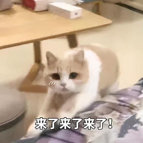 什么是辟谷辟谷的正确方法，徐峥通过“辟谷”成功减肥二十斤