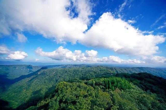 黃水的旅遊景點有油草河風景區,馬腦城風景區,土家民居觀光區,大風堡