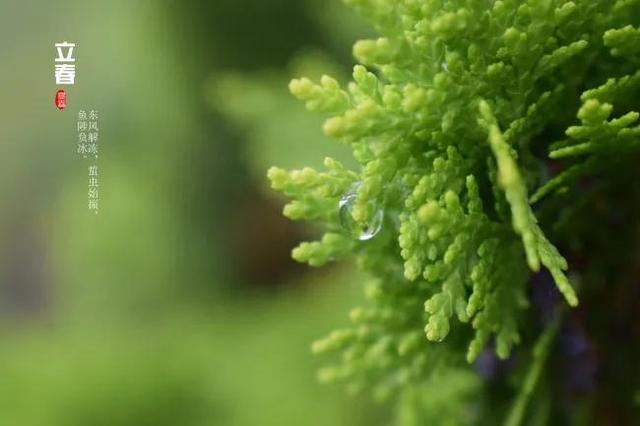 色彩心理学颜色分析，各种颜色的含义分析（认知色彩和利用色彩调节心理情绪）