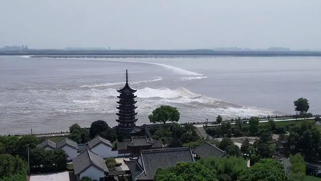 钱塘江入海的地方叫什么湾，钱塘江入海是什么海（世界潮我看丨农历八月十八日）