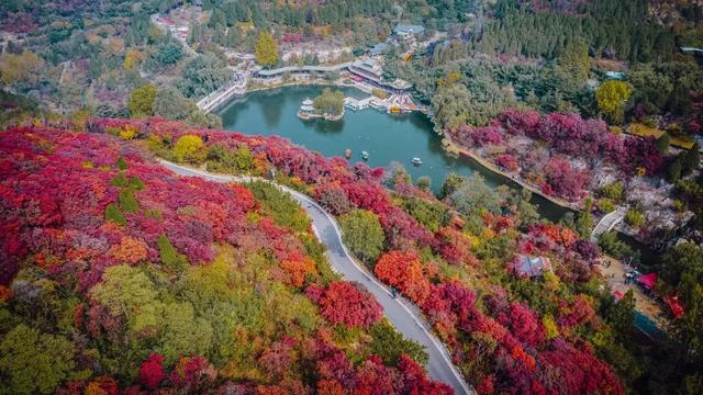 暑假去哪里旅游好，暑假带孩子去哪里旅游好（转转家门口的旅游胜地吧）