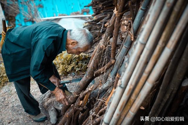 给老人买什么礼物好，给老年人买什么礼物好（80岁老人过寿最好送下面这10种礼物）