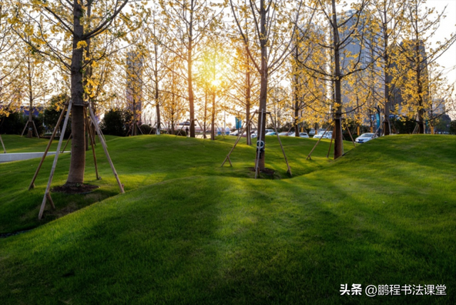 梦见植物是什么征兆，干货丨植物寓意篇