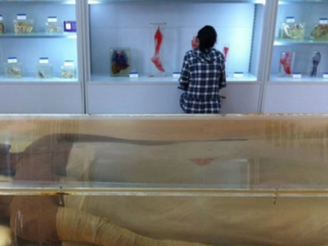 世界上有没有巨人，世界上真的存在巨人吗（中国2.48米“女巨人”）