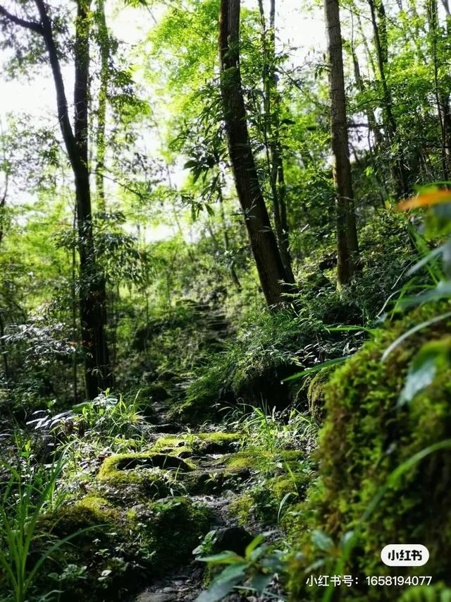 距离成都2小时小众的露营基地，成都近郊9个小众徒步露营耍水地