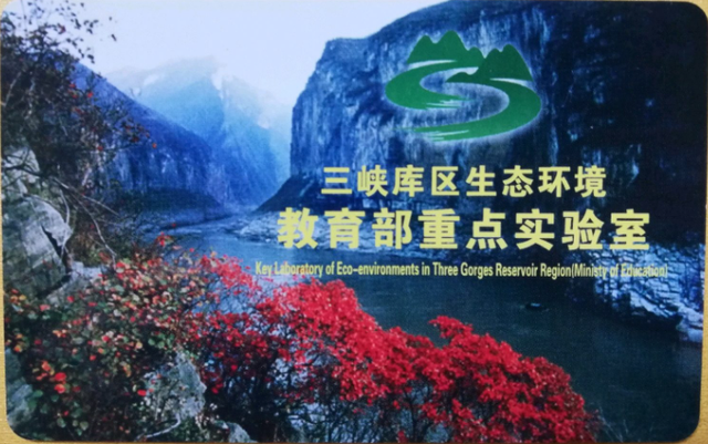 环境工程专业考研，环境工程专业考研可以考什么专业（重庆大学的环境工程怎么样）