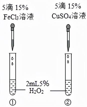 红磷在空气中燃烧，红磷在空气中燃烧的现象（初中化学——空气选择题模拟篇）