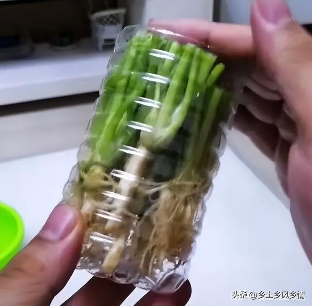 开根号最简单的方法，手动开根号方法（香菜根不要再丢掉了）