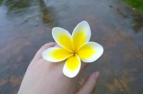 爱曾经来过痛那么执着是什么歌，爱曾经来过痛的那么执着是什么歌（下辈子不一定遇见你）