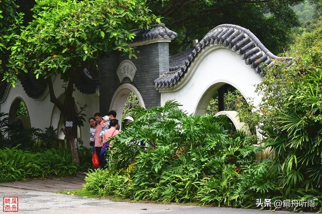 番禺大夫山森林公园，探寻天然氧吧广州大夫山森林公园（大夫山森林公园真的太大了）