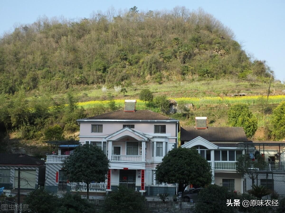 宅基地的法律规定（土地管理法实施条例）