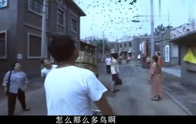 蝙蝠是鸟吗，四川德阳傍晚出现“密集鸟群”（蝙蝠是鸟吗请说明你的理由）