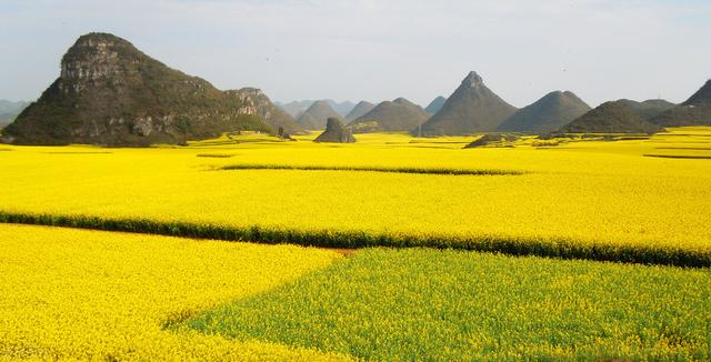 罗平旅游景点大全，曲靖罗平旅游景点大全（中国最美四季游之春季：罗平）