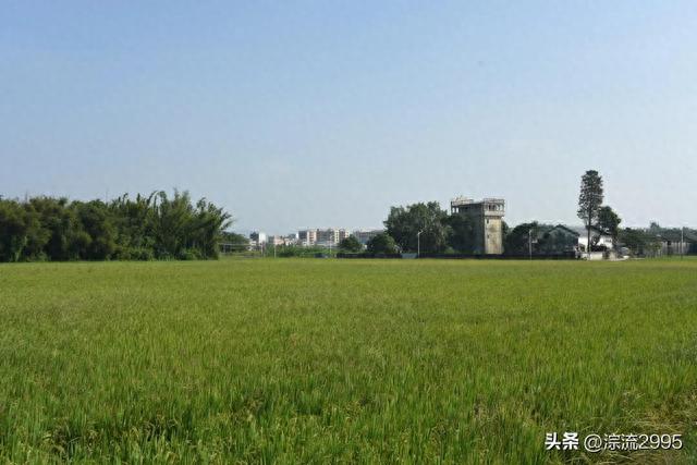 台山水步，碉楼咖啡，田园画境，诗意生活