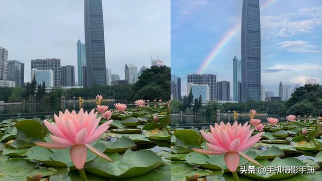 拍完照片怎么修？思路和技巧都在这，一部手机全搞定