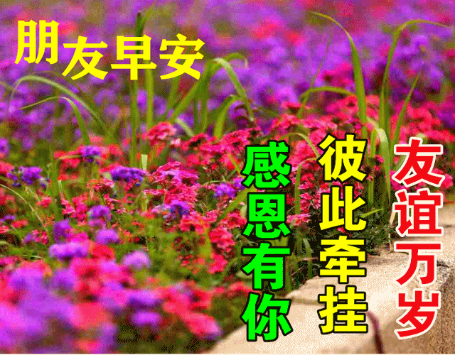 早晨充满正能量的句子，早晨充满正能量的句子简短（正能量早上好阳光语录大全）