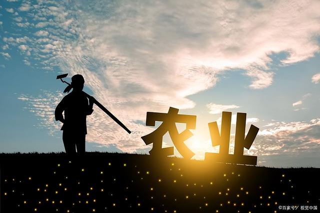 农村农业补贴怎么领取，你知道有哪些农业补贴吗