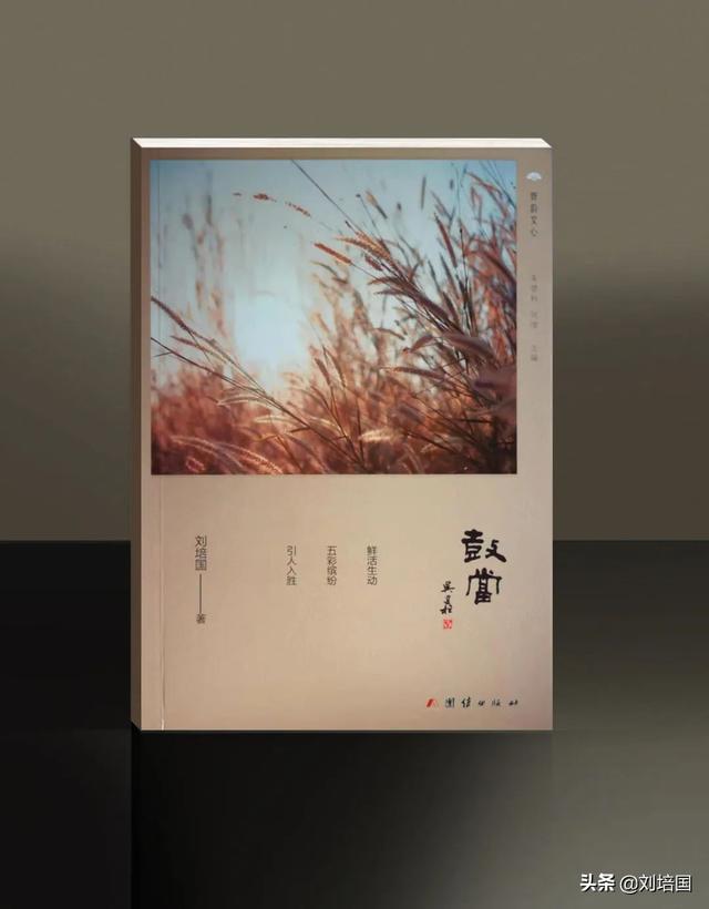 真正的朱砂多少钱一克，真正的朱砂怎么分辨真假（玩印泥的人）