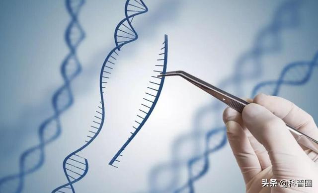 狐臭是怎么引起的，女生狐臭是怎么引起的（科学证实：有狐臭正常）