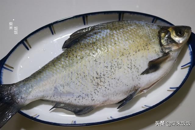 红烧鱼的家常做法大全，家常红烧鲤鱼的做法和步骤（这个做法我最喜欢）