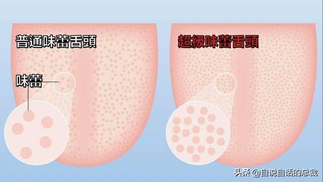 小龙虾属于海鲜类吗，小龙虾是海鲜吗（龙虾：从小龙虾到大花龙）