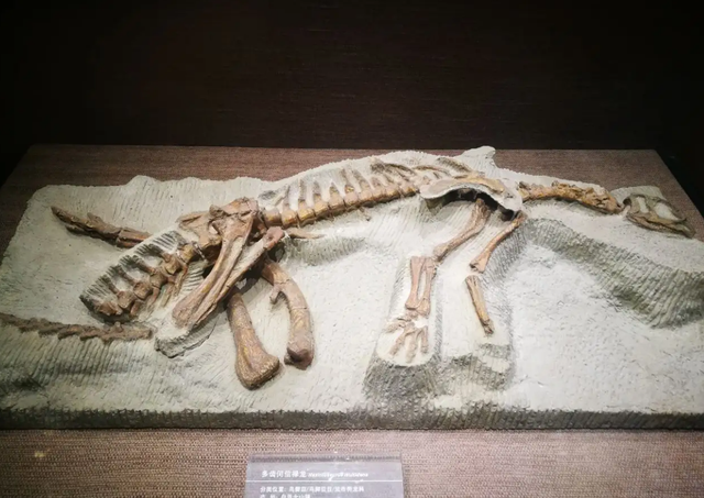 成都市内旅游攻略，成都市内一日游最全攻略（赏彩灯、品美食、聊历史）