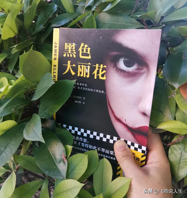 追踪《黑色大丽花》，真相永远比想象更可怕
