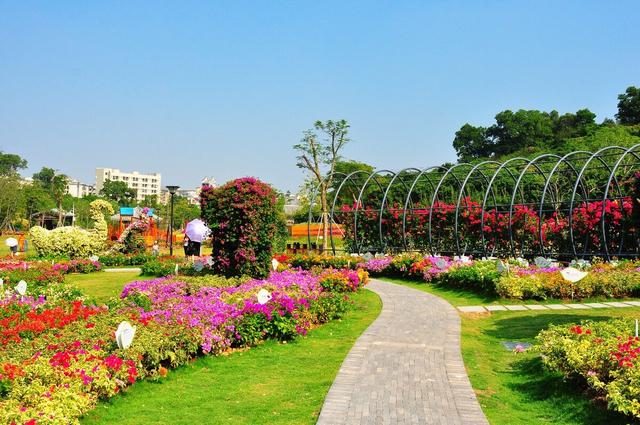 深圳游玩攻略必去的地方免费，7个遛娃好去处全免费