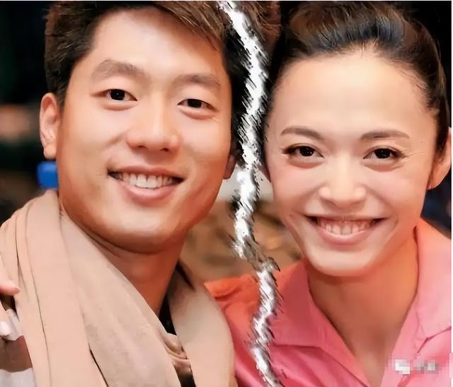 姚晨与凌潇肃，10年“离婚大战”，没有一个是赢家
