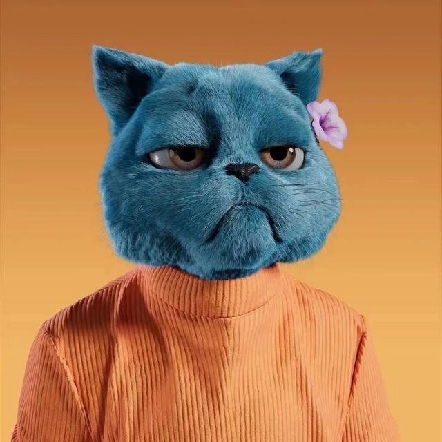 动物照片大全图片，好看的动物照片（微信高清动物头像）