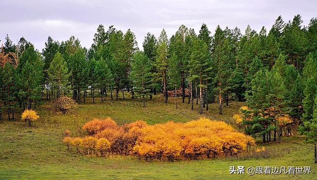 阿尔山的风景，《走进内蒙》景色迷人