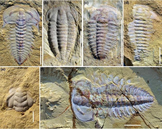 世界文化遗产名录介绍，世界文化遗产名录介绍资料（中国56项世界遗产）