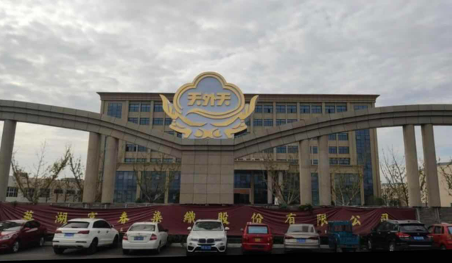 色纱 是什么，富春染织：精耕细作