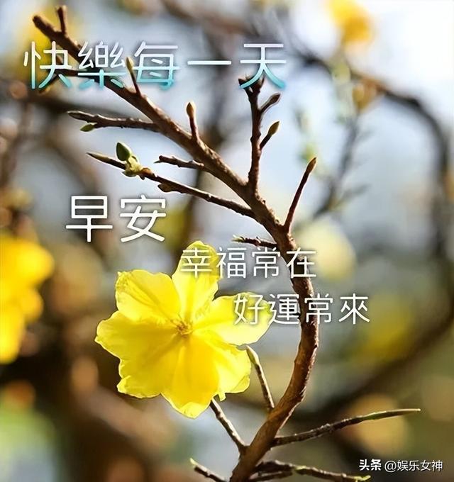 形容清晨美好的句子，形容清晨的词语（最新早上好暖心祝福大全）