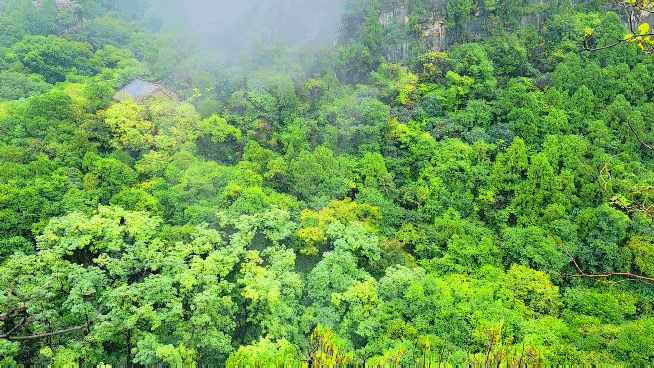 厦门龙洞风景区，厦门龙洞风景区门票多少（厦门龙洞：罕见的峡谷地貌）