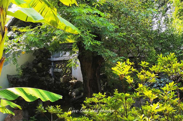 上海城隍庙门票，上海城隍庙门票多少钱一张（100元以内就能游玩上海两大景区）