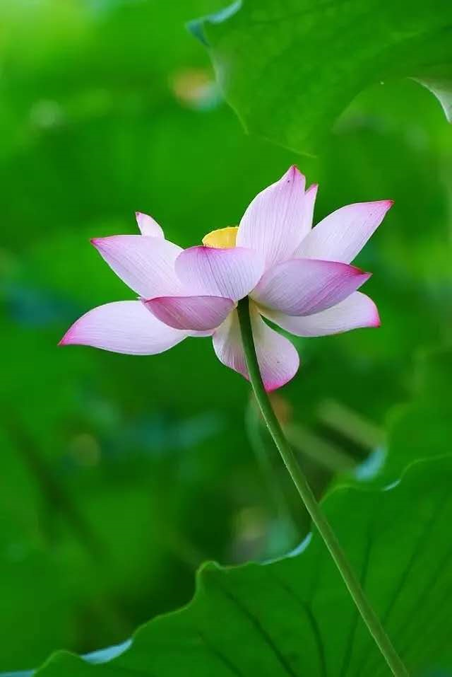 工作辛苦正能量的幽默句子，开心上班幽默正能量的句子（正能量温情语录句子）