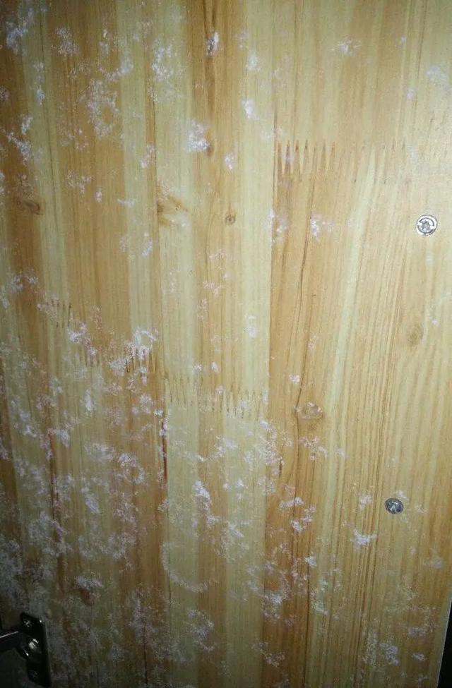 如何去除家中潮气，怎么去除屋里的潮气（史上最全防潮、除霉大法）