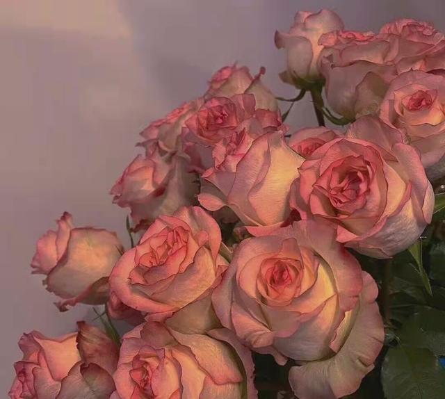 适合表白的文案，适合表白文案的图片（表达爱意的小众温柔情话文案）