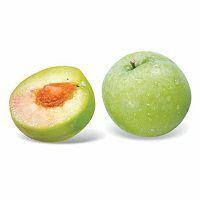 狗狗能吃糯米吗，狗狗最忌讳吃什么食物（这些东西可要小心了）