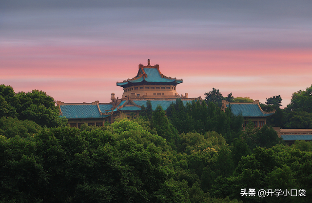 2019年重庆高考国家专项批次各大学投档分数线统计表，2019年重庆重点大学录取分数线（武汉大学在重庆的录取分数有所下降）